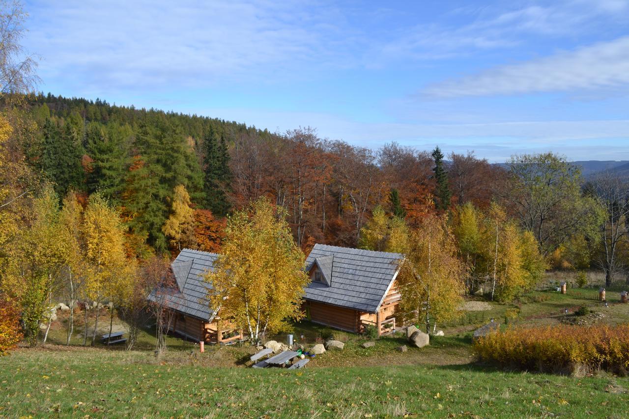 Lesniowka Domki W Karpaczu Exterior foto